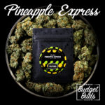 Pineapple Express | 1g | Hybrid