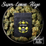 Super Lemon Haze | 1g | Sativa