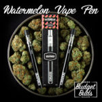 Watermelon THC Disposable Vape Pen | 250mg THC
