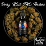 Berry Blast THC Tincture | 1000mg | BluuBear