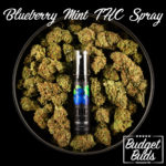 Blueberry Mint | THC Oral Spray | BluuBear | 350mg THC