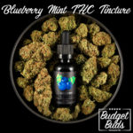 Blueberry Mint THC Tincture | 1000mg | BluuBear