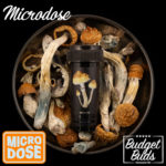 Micro-dose | 100mg Magic Mushroom Caps