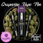Grapevine THC Disposable Vape Pen | 250mg THC