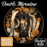 Double Micro-dose | 200mg Magic Mushroom caps