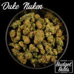 Duke Nukem | Hybrid | 1oz