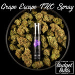 Grape Escape | THC Oral Spray | BluuBear | 350mg THC