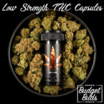 THC Capsules | Low Strength 10mg | BluuBear