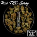 Astro Oral Spray | Mint | 200mg THC