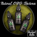 Natural CBD Tinctures | 3 Pack | BluuBear