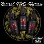 Natural THC Tinctures | 3 Pack | BluuBear