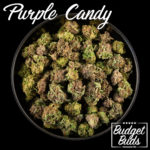 Purple Candy | Indica | 1oz