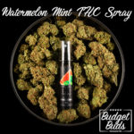 Watermelon Mint | THC Oral Spray | BluuBear | 350mg THC