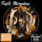 Triple micro-dose | 300mg Magic Mushroom Caps