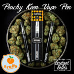 Peachy Keen THC Disposable Vape Pen | 250mg THC