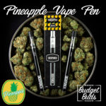 Pineapple THC Disposable Vape Pen | 250mg THC