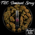 2:1 THC Dominant | Oral Spray | BluuBear | 233mg THC / 116mg CBD
