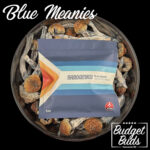 Blue Meanies Magic Mushrooms 1oz by: SHROOMIES