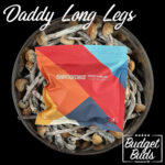 Daddy Long Legs Magic Mushrooms 1oz by: SHROOMIES