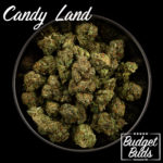Candy Land | Sativa | 1oz