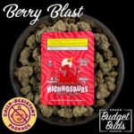 Berry Blast Highnosaurs | 100mg THC