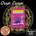 Grape Escape Trippin' Tart Worms | 200mg THC