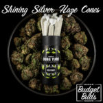 Shining Silver Haze | Sativa | Cones by DP