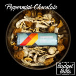 Shroomies Chocolate Bar | Peppermint | 3g Cubensis