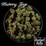 Blueberry Haze | Hybrid | 1oz