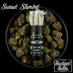 Sunset Sherbet | Hybrid Cones