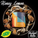 Honey Lemon Mushroom Tea | Shroomies | 10 x 1g Bag