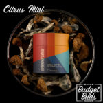 Citrus Mint Mushroom Tea | Shroomies | 10 x 1g Bag