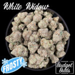 White Widow | Hybrid | Premium Oz!