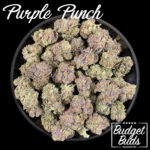 Purple Punch | Indica | 1oz