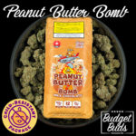 Peanut Butter Bomb Chocolate Bar | 600mg THC