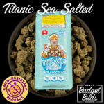 Titanic Sea Salted Chocolate Bar | 600mg THC