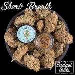 Sherb Breath | Indica | Organic Rosin | 1g | Fresh Squish