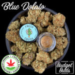 Blue Dolato | Hybrid | Organic Rosin | 1g | Fresh Squish