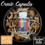 Create  |  Micro-Dose Capsules  |  100mg Psilocybin