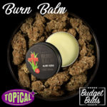 Burn Balm | Aloe Vera  + 300mg CBD | Bluubear