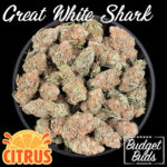 Great White Shark | Sativa | Premium Oz!