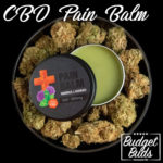 Pain Balm | BluuBear  | 600mg CBD