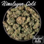 Himalayan Gold | Hybrid | 1oz