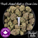 Purple Animal Kush x Dream Lotus | Sativa | Seeds