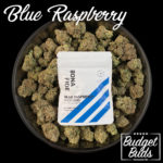 Blue Raspberry | Space Stars by Bonafide | 1000mg THC