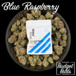 Blue Raspberry | Fruit Cubes by Bonafide | 300mg THC
