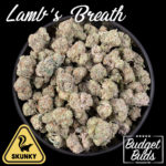 Lamb's Breath | Sativa | 1oz