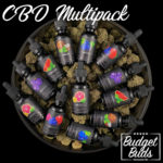 CBD Tinctures Multipack | 12 Count | BluuBear