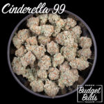 Cinderella 99 | Sativa | Premium Oz!