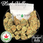 Black Valley | Indica | 100% Organic | 1oz